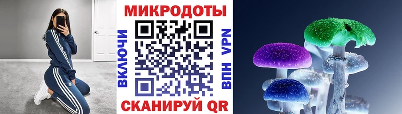 Псилоцибиновые грибы мицелий  Купить закладки  Соль-Илецк 