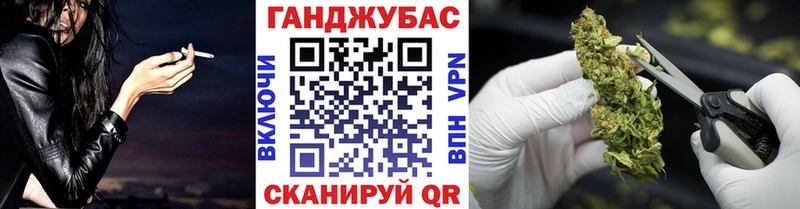 Купить закладки  Соль-Илецк  Бошки Шишки THC 21% 